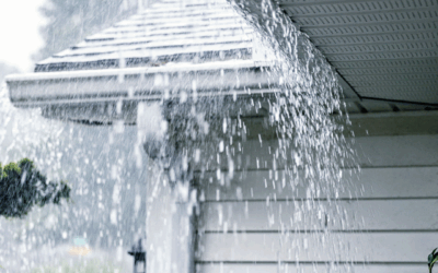 5 Reasons why it can be a great time to buy property in Winter