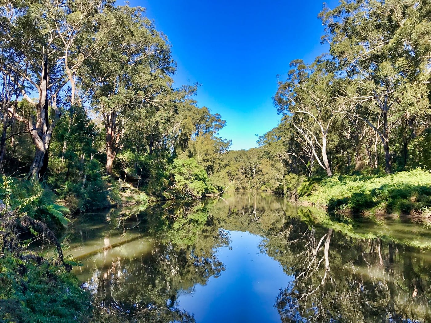 lane cove buyers agents lane cove buyers agents
