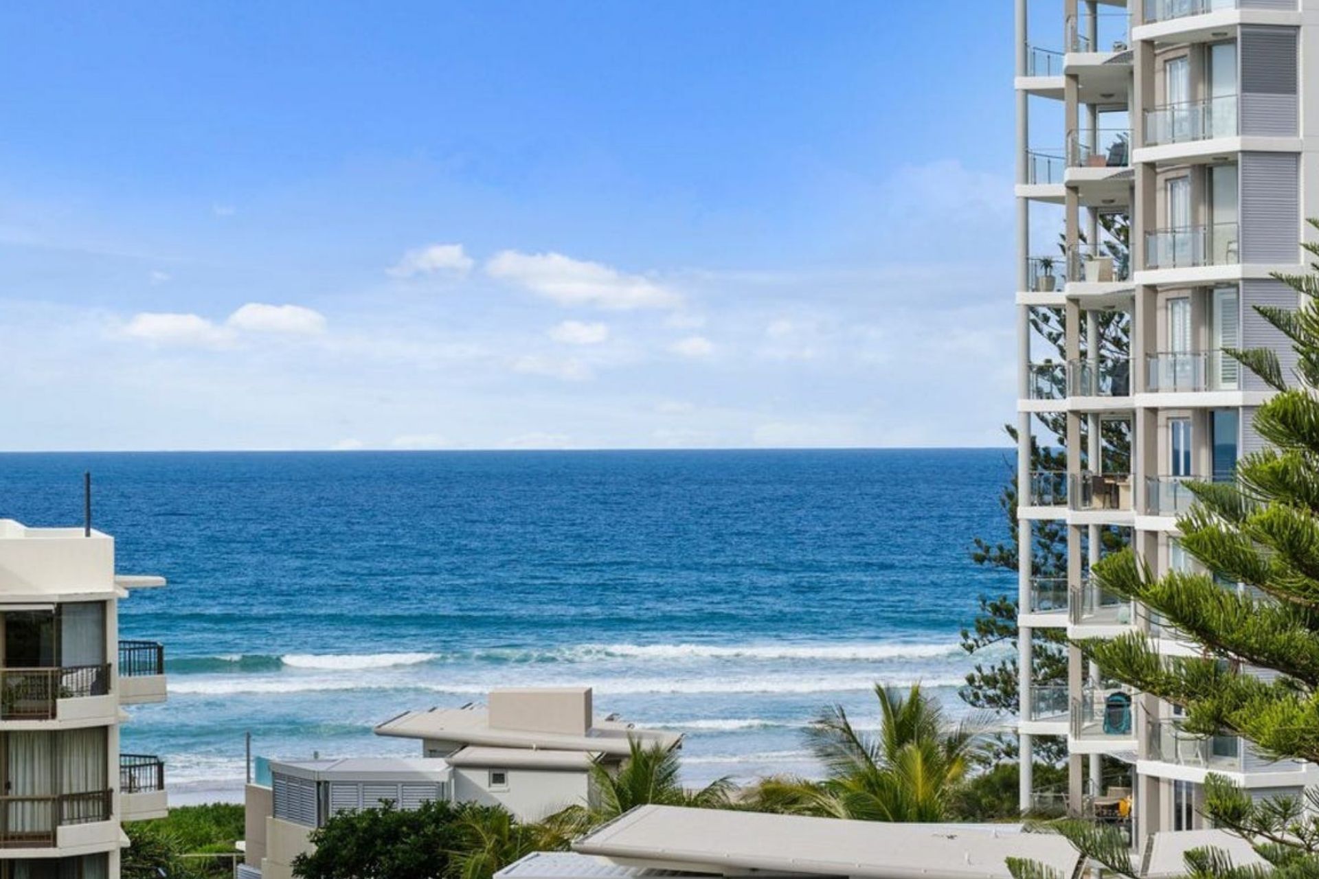 PMC Landscape Purchase (20)