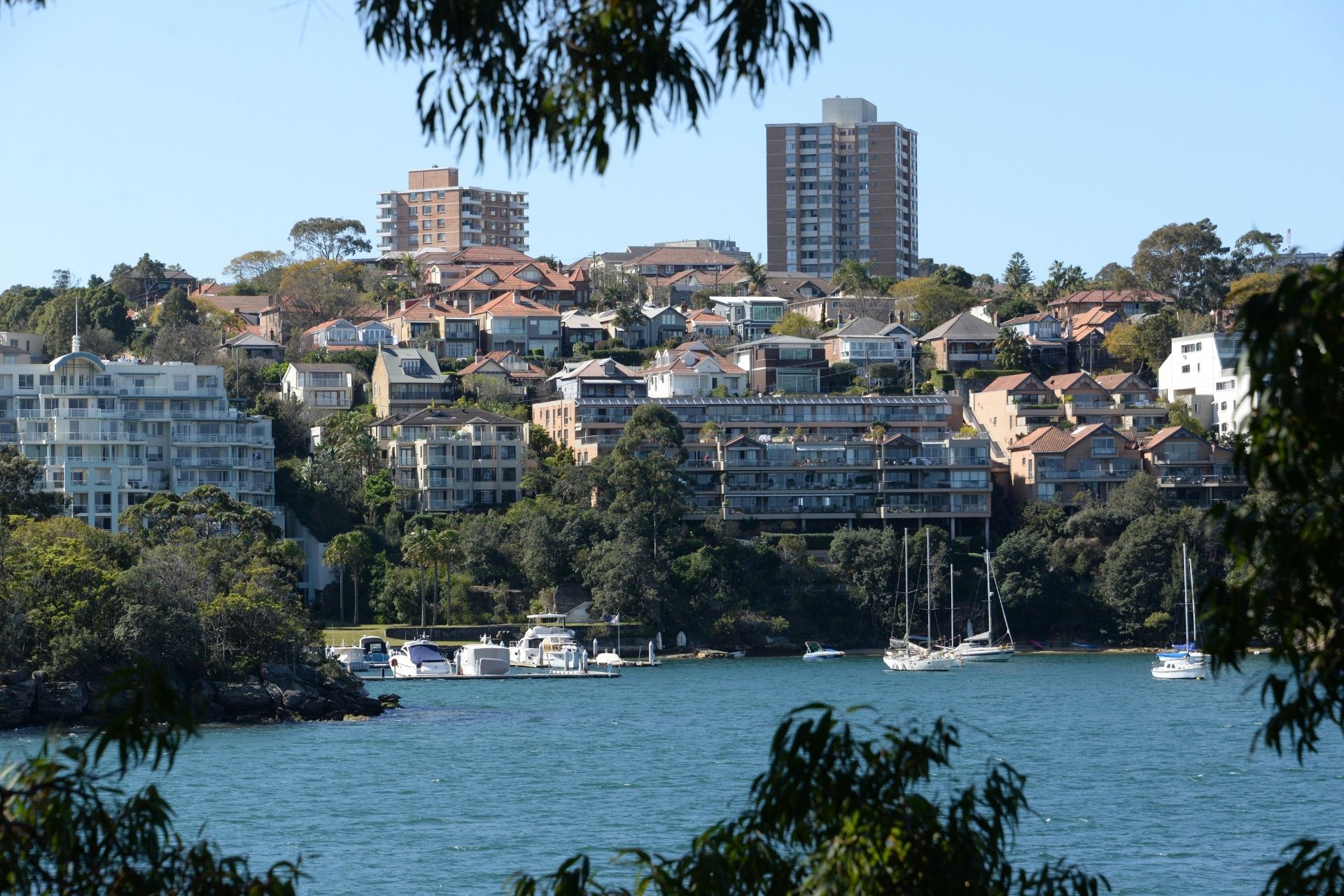 Balgowlah Heights Drone