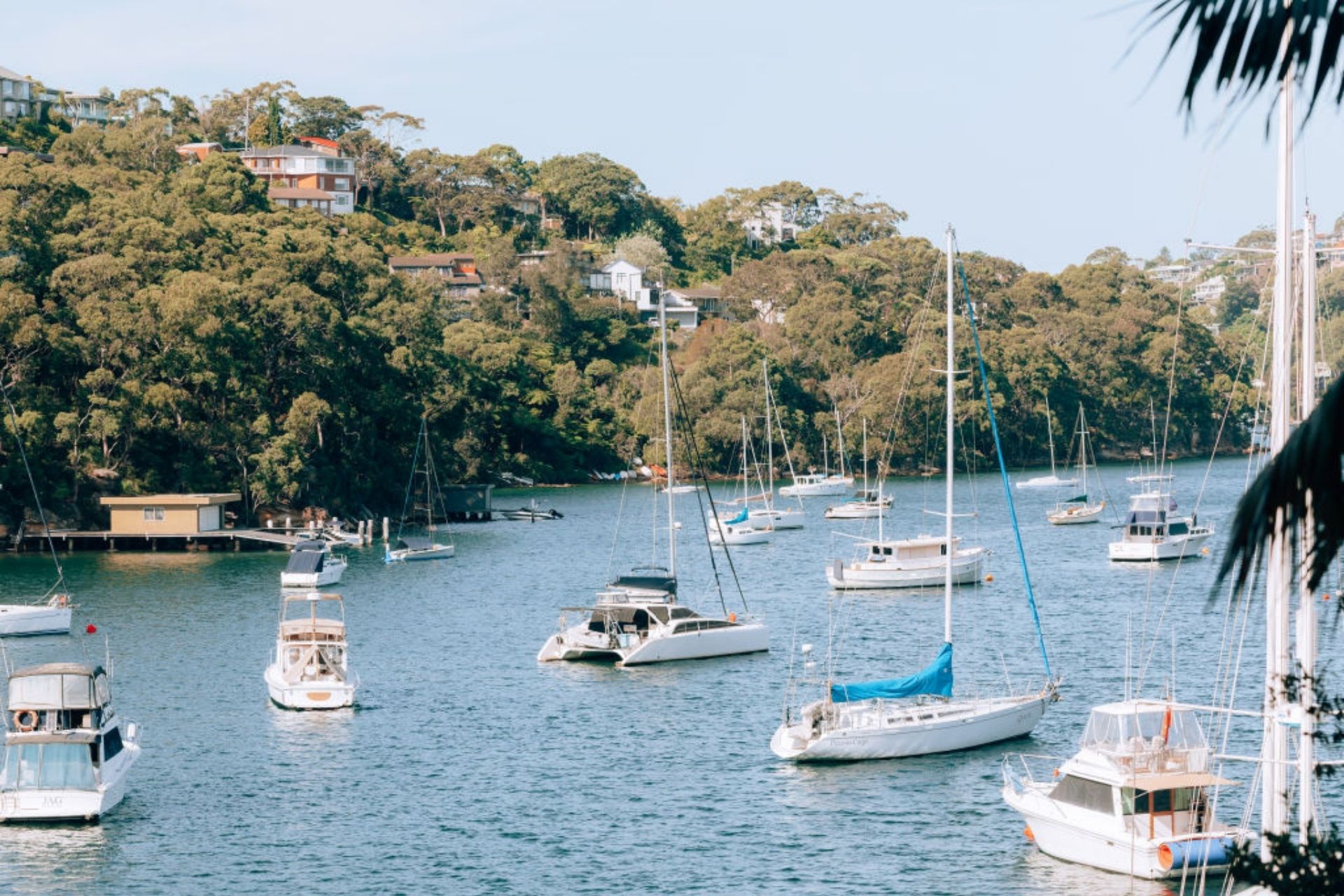 Sydney - Where we Service