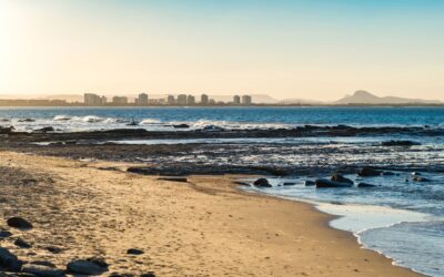 Why the Sunshine Coast Property Market Continues to Attract Buyers