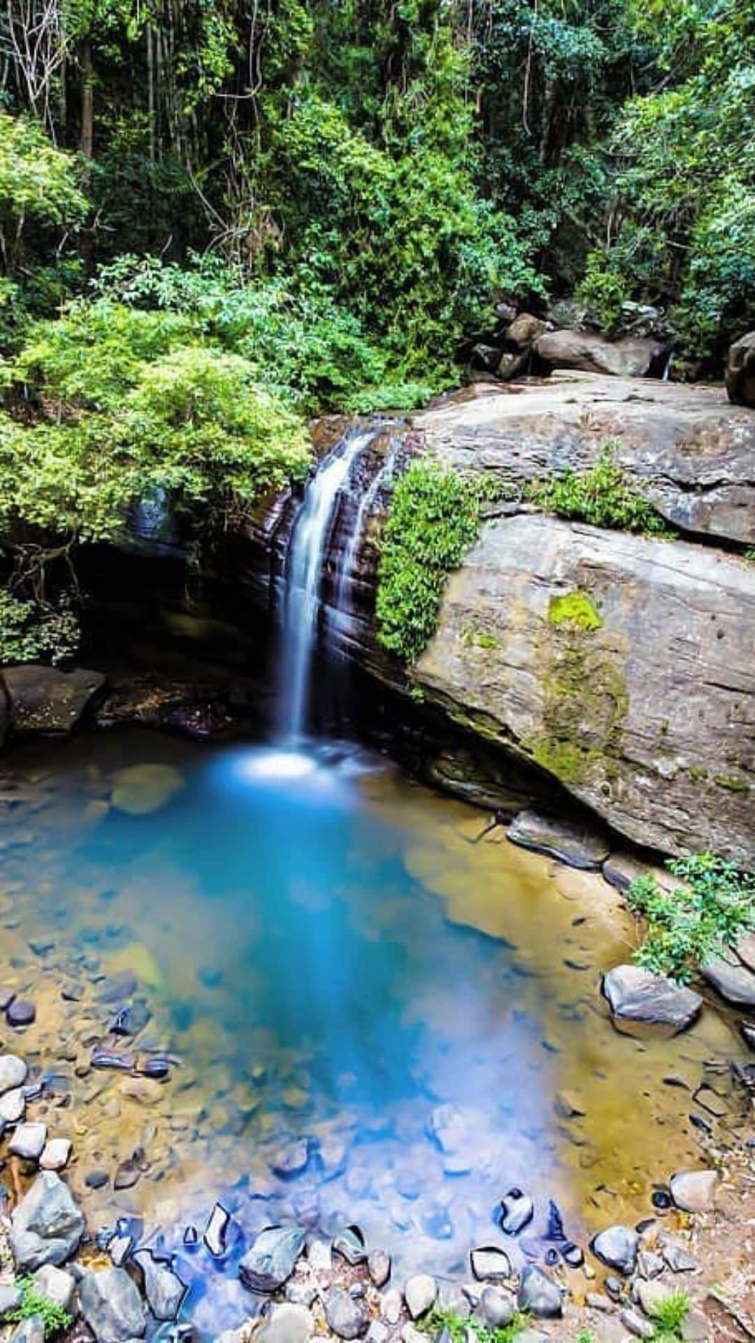 Buyers Agent Sunshine Beach