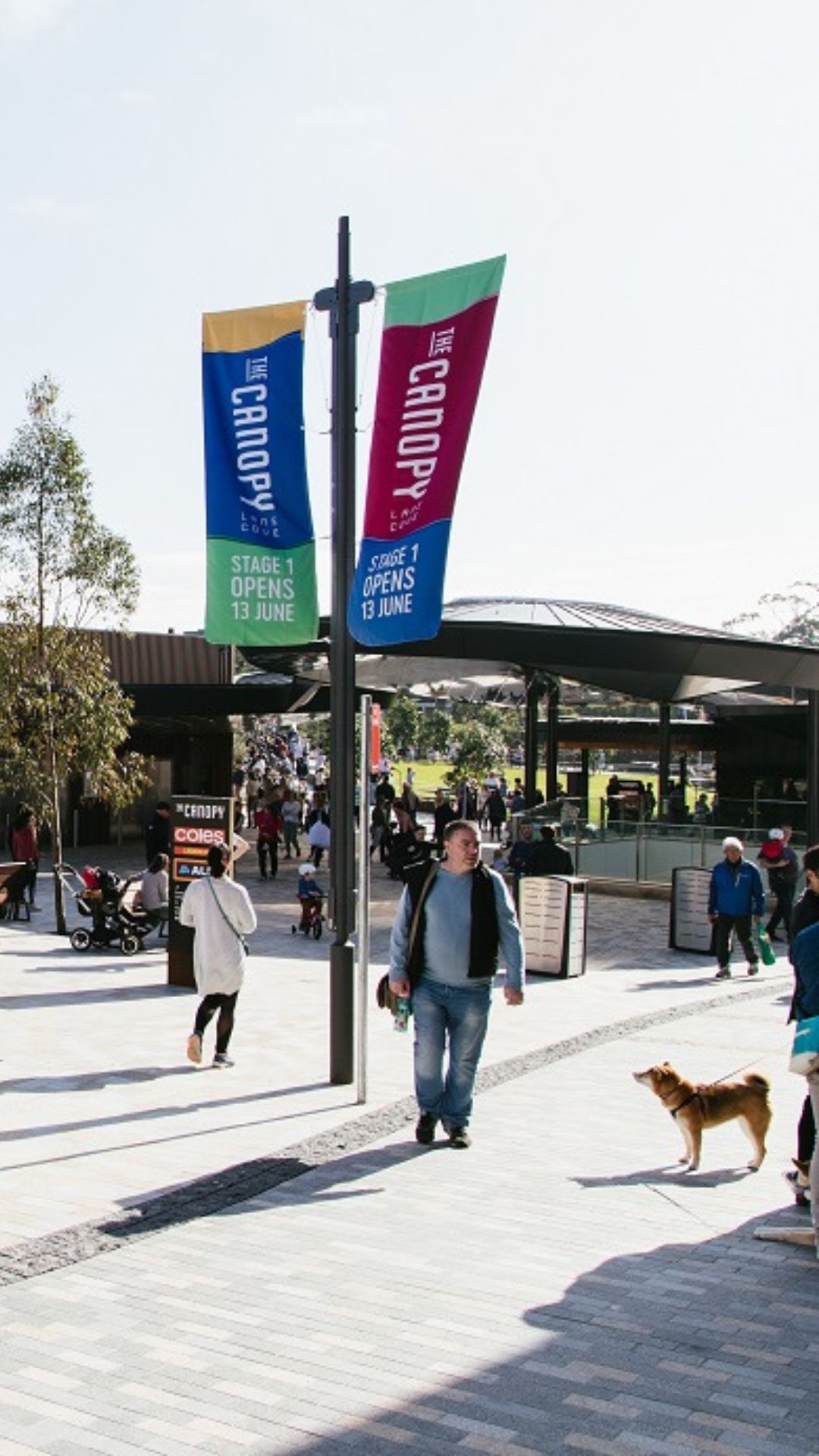 lane cove buyers agents