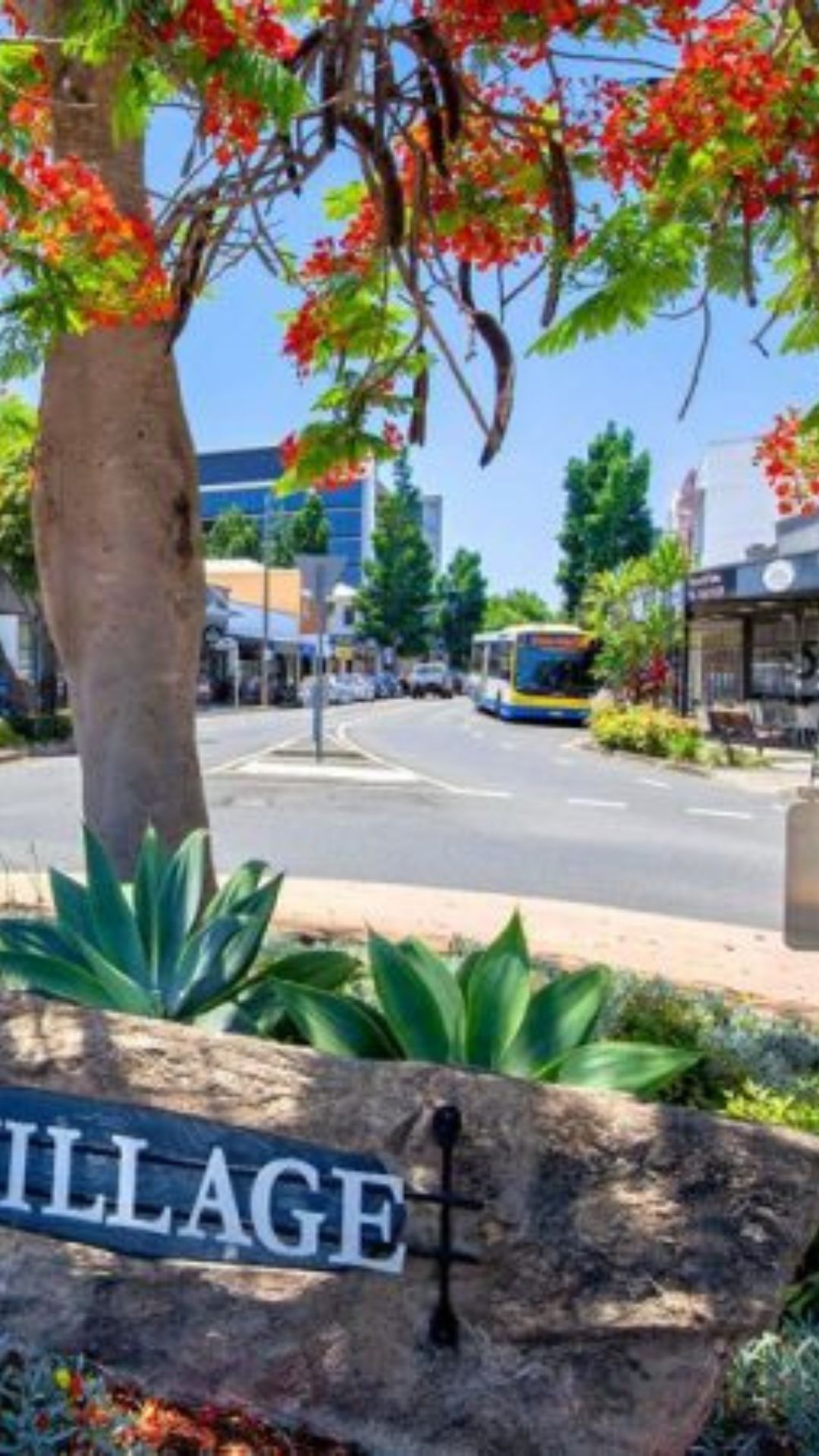 Auchenflower Buyers Agent