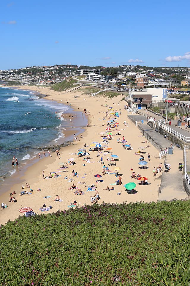 Merewether Buyers Agent