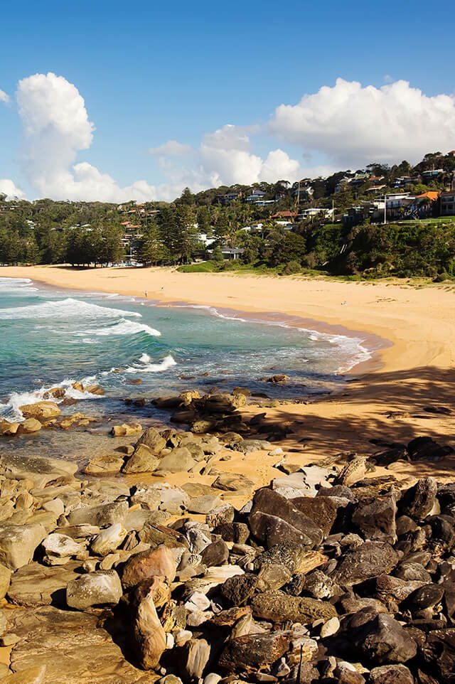 Whale Beach Buyers Agent